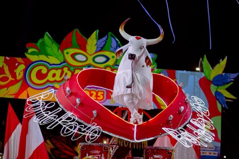 Garantido acelera organização artística e musical para o Carnaboi 2026