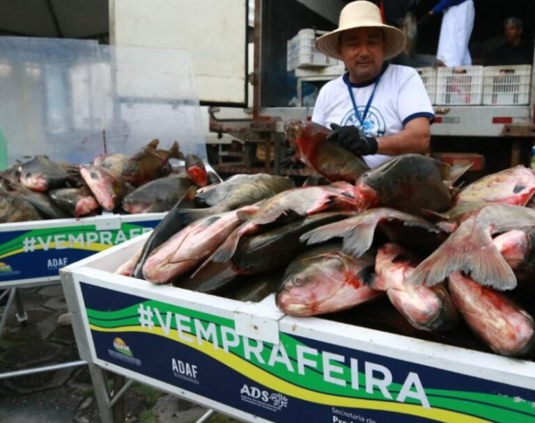 Feira da ADS no Shopping Ponta Negra é opção para quem busca pescado durante a Quaresma
