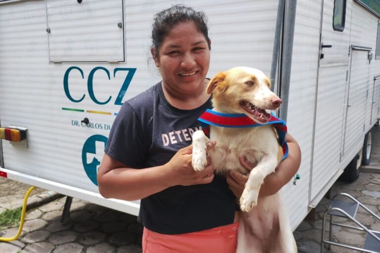 Novas vagas para castração de cães e gatos são abertas em Manaus