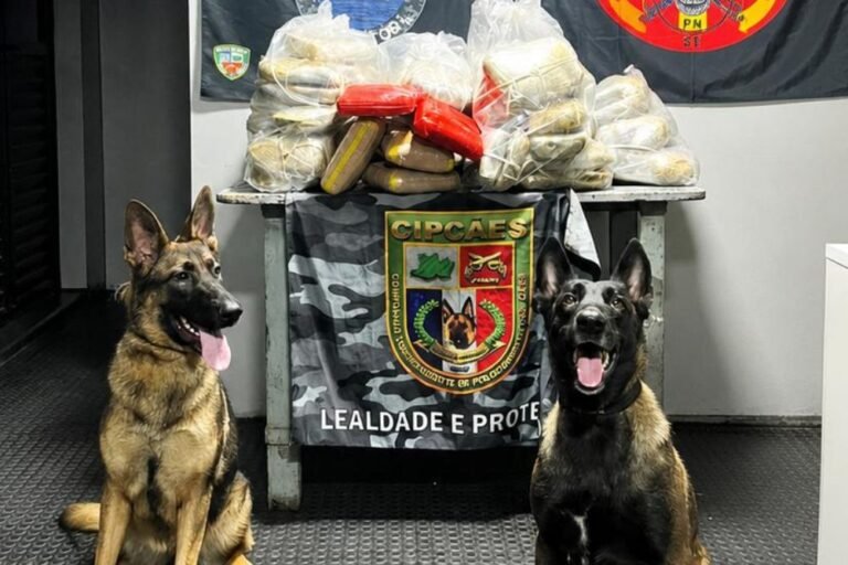 Mais de 90 quilos de drogas são apreendidos em embarcação no rio Solimões