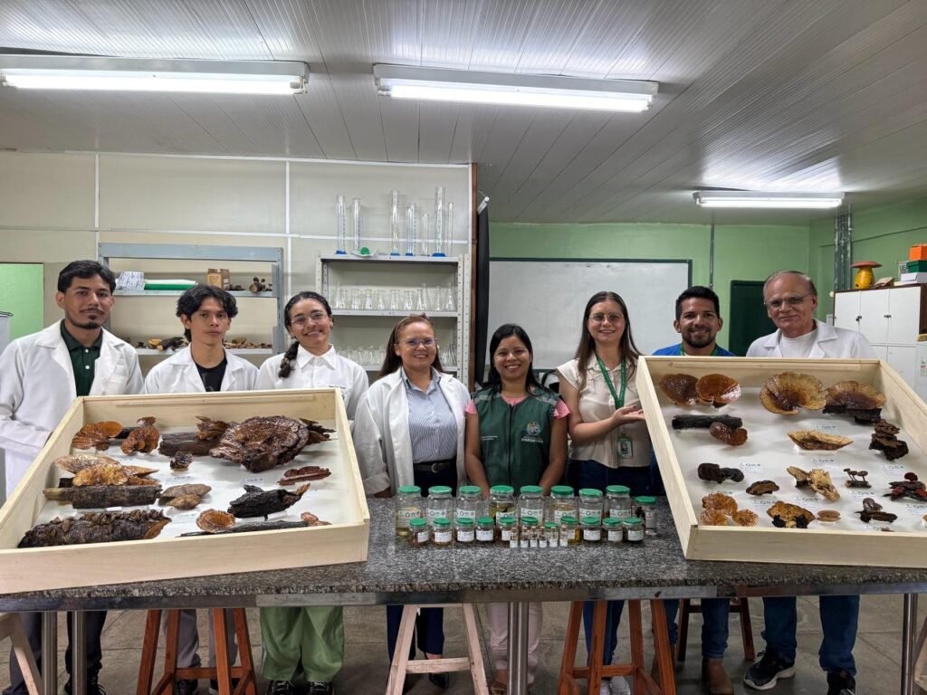 Parintins recebe coleção didática de fungos produzida por pesquisadores da UEA