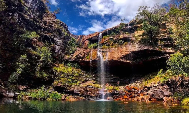 Criança atacada por onça na Chapada dos Veadeiros passa por cirurgia e segue estável
