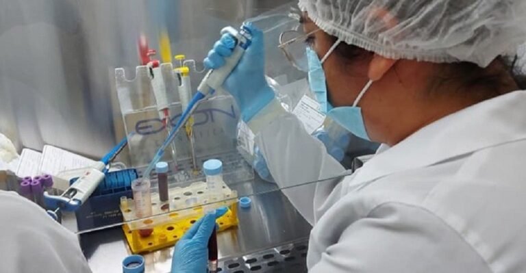 Compostos amazônicos combatem vírus Zika