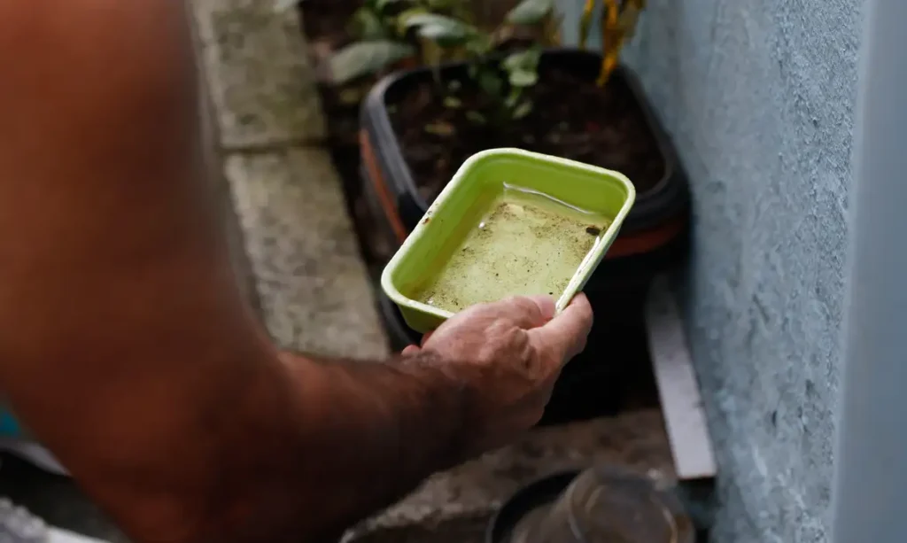 El Niño pode elevar casos de dengue em 2027 no Brasil; Saúde alerta estados e municípios