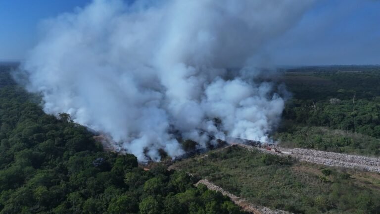 Ipaam multa Prefeitura de Iranduba em R$ 2,5 milhões por queima de resíduos