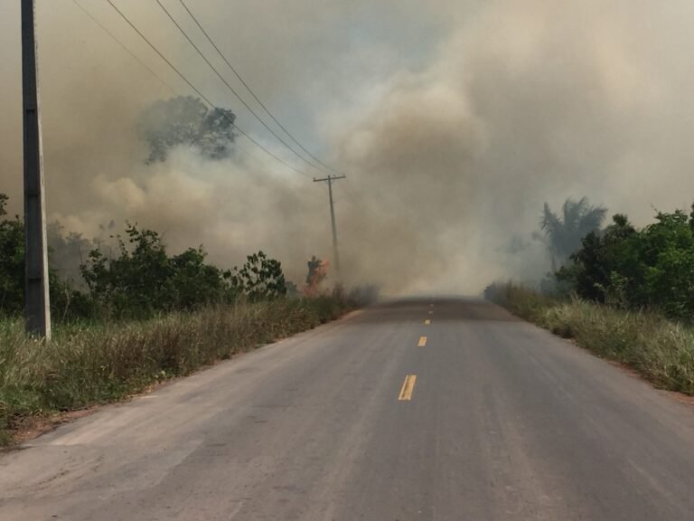 Incêndios florestais aumentam 324% em Manaus durante estiagem