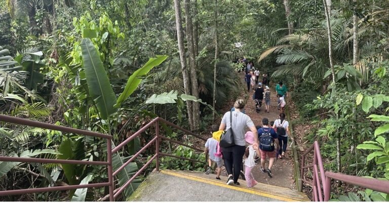UFAM e INPA oferecem oficinas gratuitas de divulgação científica ambiental em Manaus