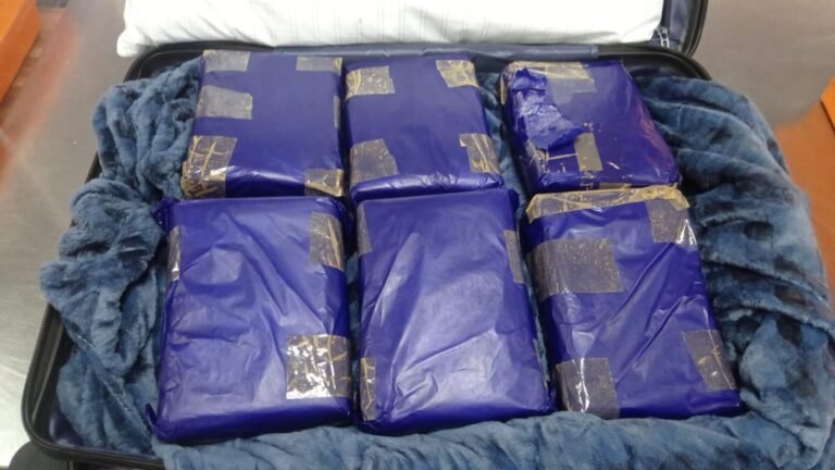 PF prende mulher com 12 kg de skunk escondidos em bagagem em Manaus
