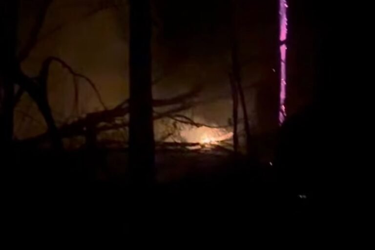 Incêndio avança em área verde do Parque das Tribos em Manaus