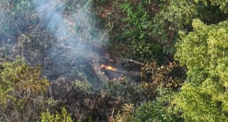 Incêndio destrói área de vegetação e atinge embarcação em Cacau Pereira