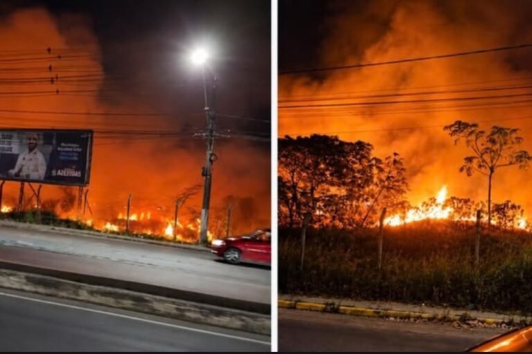 Incêndio atinge área de vegetação na Torquato Tapajós