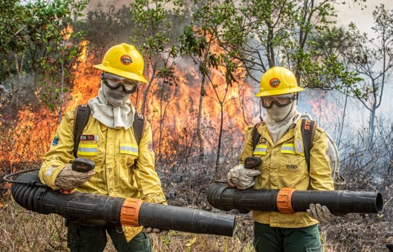 Governo Federal amplia combate aos incêndios no Amazonas com mais cinco aeronaves