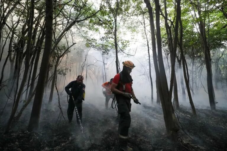 Mais de mil agentes atuam no combate às queimadas em 35 municípios do Amazonas