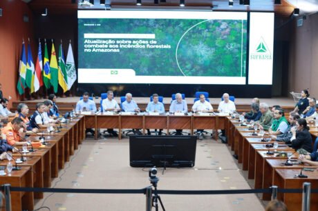 Onze pessoas são presas por suspeita de crimes ambientais em Autazes