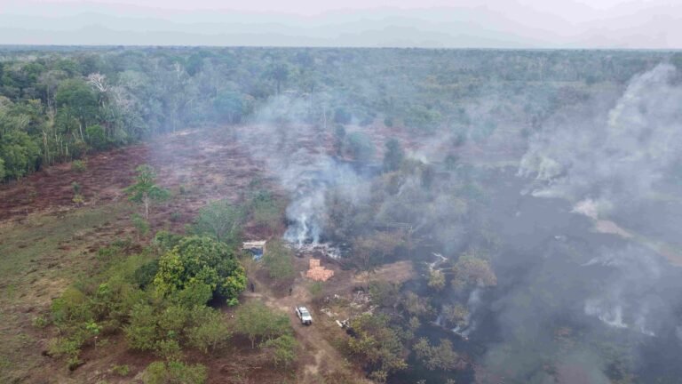 Ipaam multa proprietário em R$ 100 mil por incêndio e queima de pneus no Careiro da Várzea