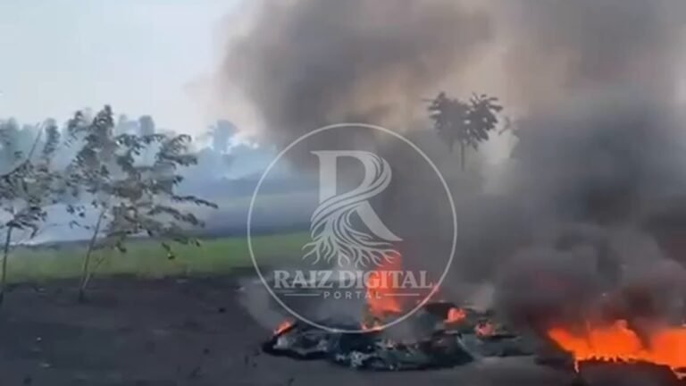 Homem é preso em flagrante por incêndio em área de mata no Careiro