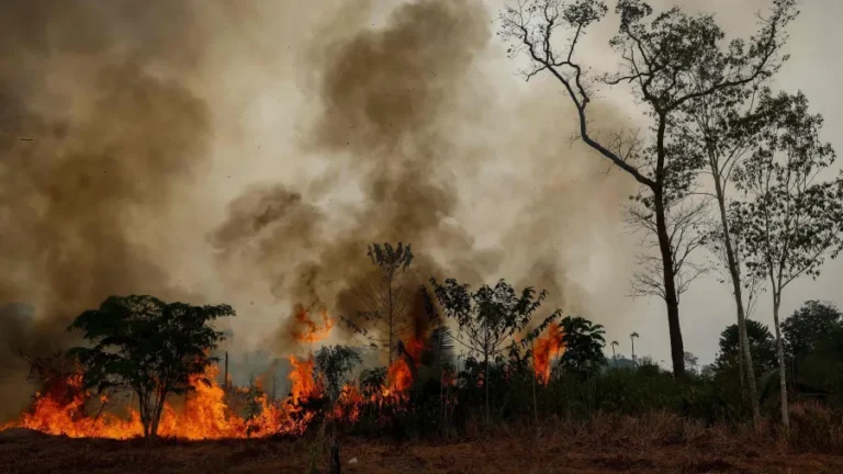 Autazes lidera queimadas no Amazonas e suspende aulas por causa da fumaça